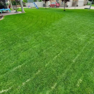 lawn-backyard