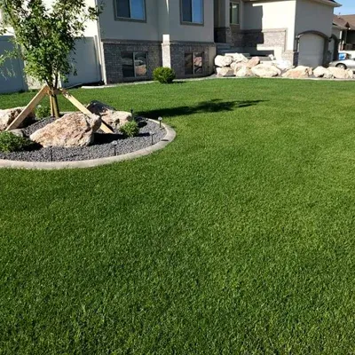 green healthy lawn with no weeds