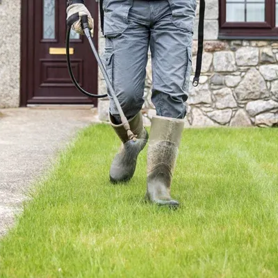 weed control spraying lawn