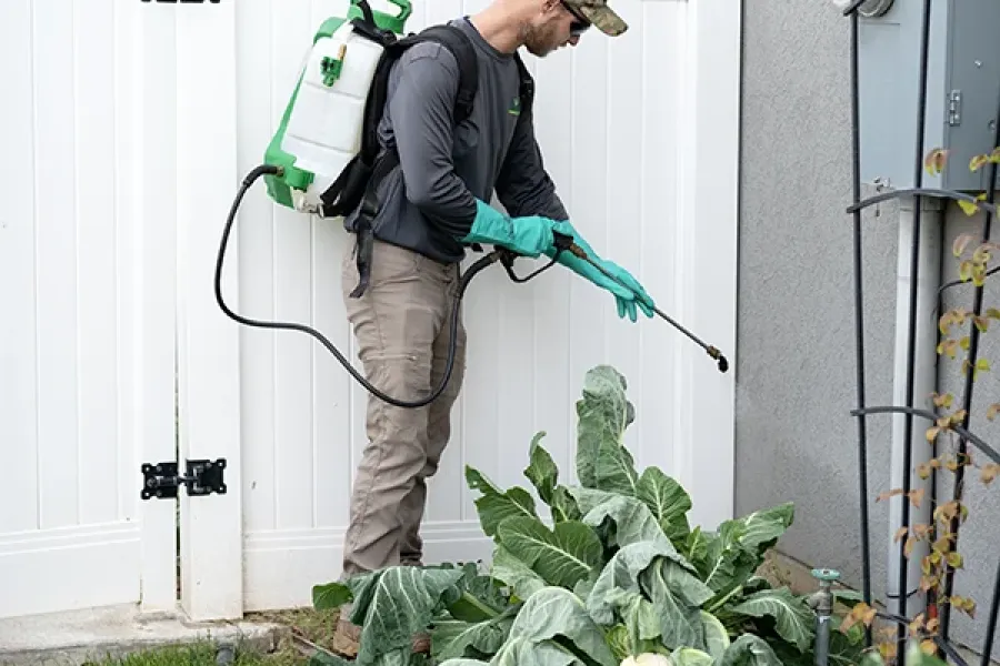 tech-spraying-by-fence
