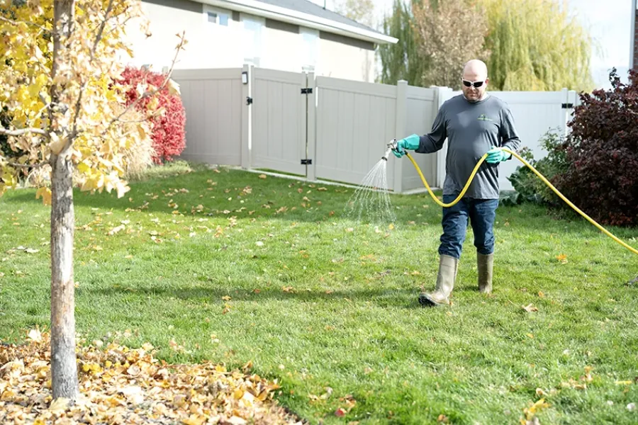 tech-spraying-tree