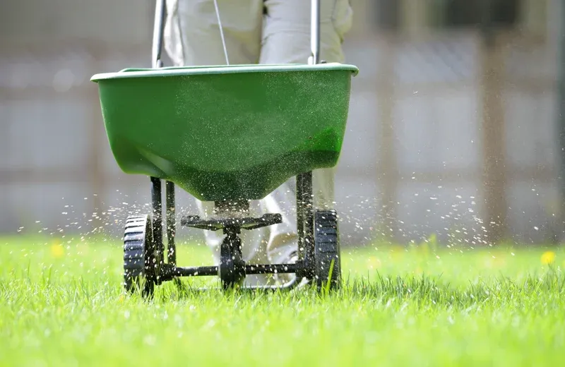 fertilizing lawn, lawn care