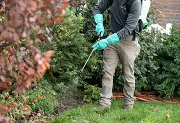 tech-spraying-shrubs