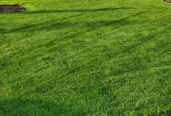 green-lawn-fresh-mow