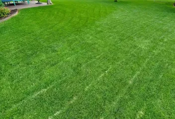 lawn-backyard