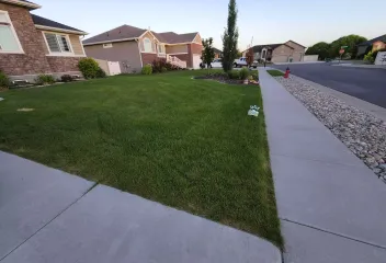 lawn-image-work