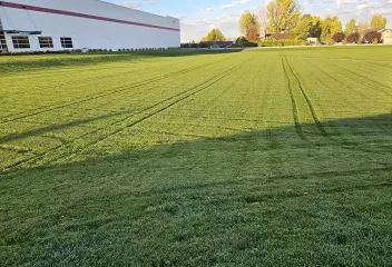 lawn-mowed-1