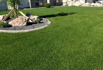 green healthy lawn with no weeds
