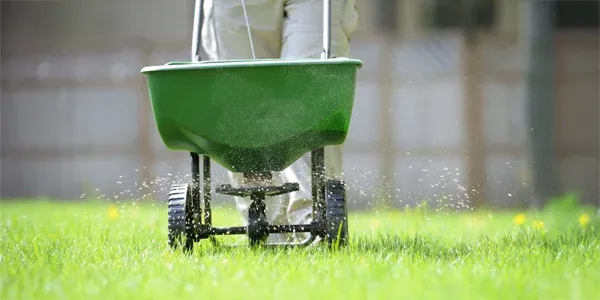 fertilizing lawn