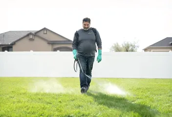 spraying-lawn