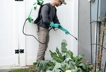 tech-spraying-by-fence