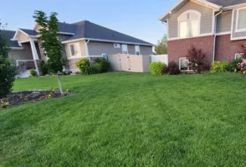 green healthy lawn